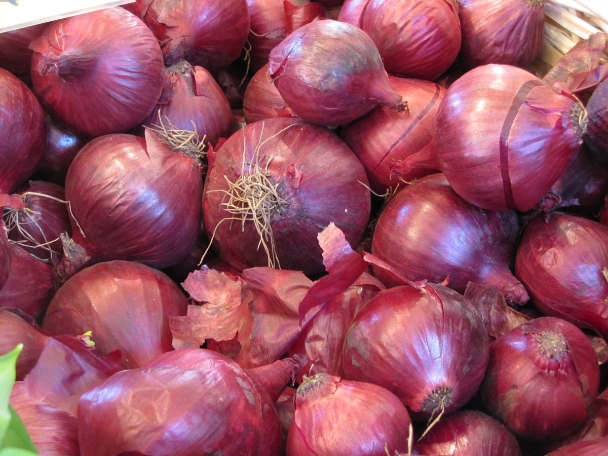Onion